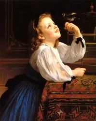 Studienkopf der Vogel